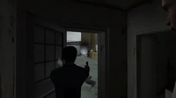 A view of the front yard seen from the front door of the Yardie Drug Factory.