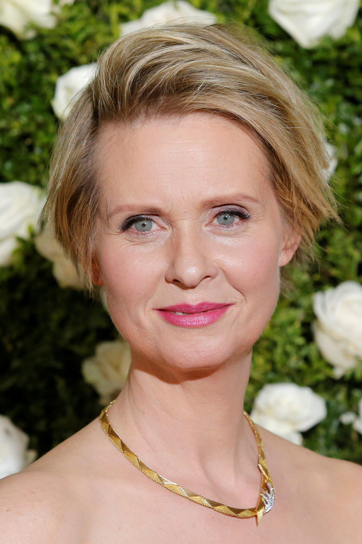 Cynthia Nixon The Gilded Age Wiki Fandom 