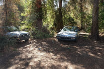 Couple Off BTS 5.jpg (6.12 MB)