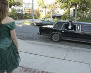 Alligator Schwartz 14.jpg (4.5 MB)