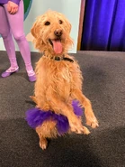 GB Oates & Oates BTS 6.jpg (162 KB)