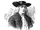 William Penn