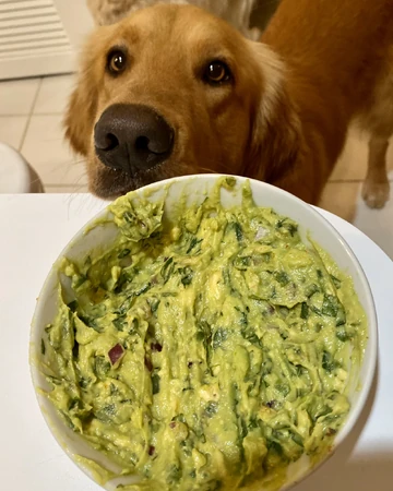 Guacamole The Golden Ratio Wiki Fandom