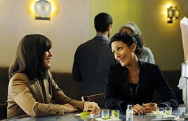 The-good-wife-480x310