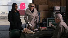 Is there more to Diane and Liz' relationship?