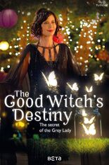 The Good Witch's Destiny (2013)