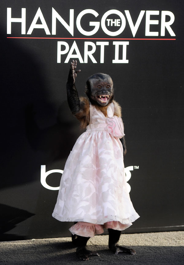 Crystal the Monkey Hangover Wiki Fandom