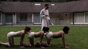 Centipede(I).jpg