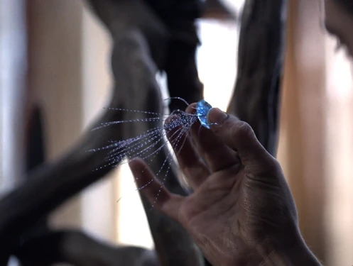 The Flame is activated.