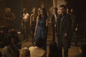 TheFlock Promo2.jpg (1.4 MB) The Flock