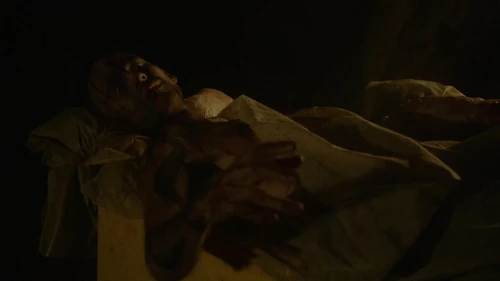 We Are Grounders (Part 1) - An alive victim of the Reapers