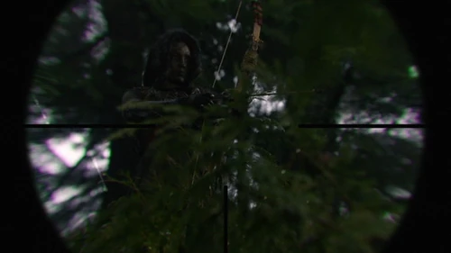 Bow and Arrow - Unity Day