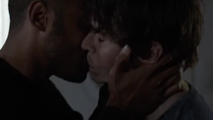 Terms and Conditions