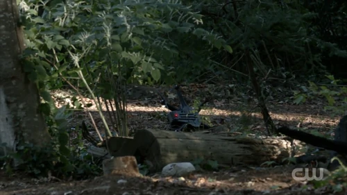 A Lie Guarded – shot down drone