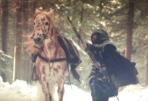 Echo saving the others.