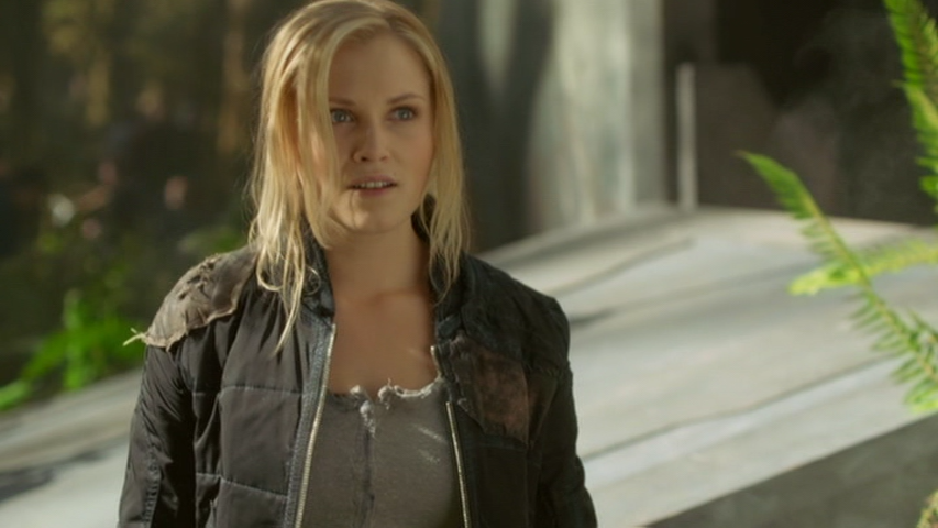 The 100: Season 1 : Jason Rothenberg, Elizabeth  