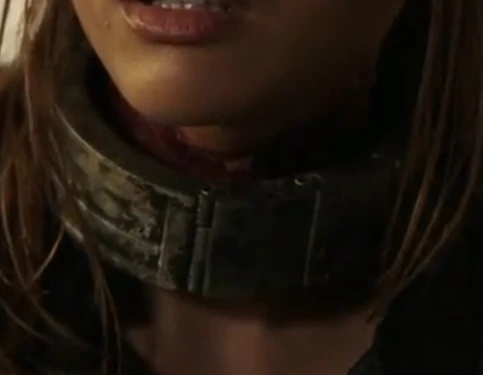 Shock Collar