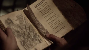 A tally of the delinquents