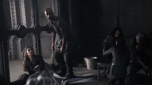 Terms and Conditions