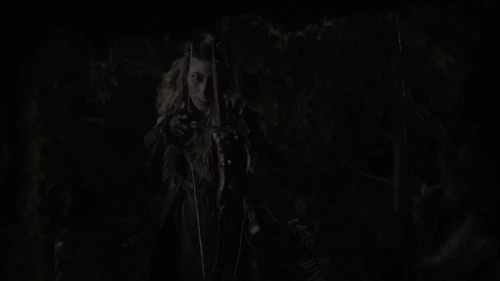 Bow and arrow - We Are Grounders: Part 1