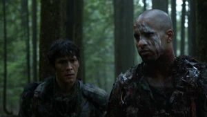 Survival of the Fittest