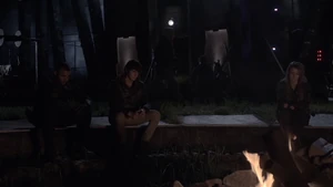 Terms and Conditions