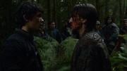 Murphy's Law 037 (Bellamy and Murphy)