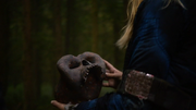  looking over the misshapen skull.