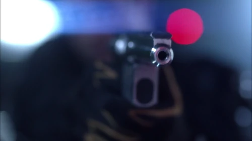 Tranquilizer gun - Pilot