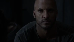 Terms and Conditions