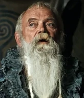 Амбассадор†