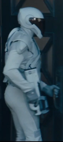 Peacekeepers as shown in The Hunger Games: Catching Fire.