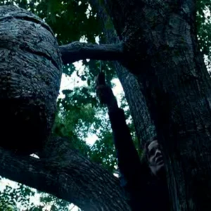 Hunger Games Tracker Jacker Szene