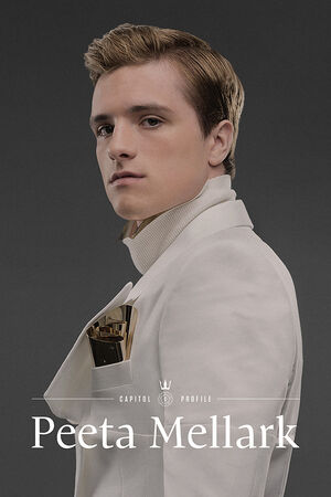 Catching Fire': A look at the new blood