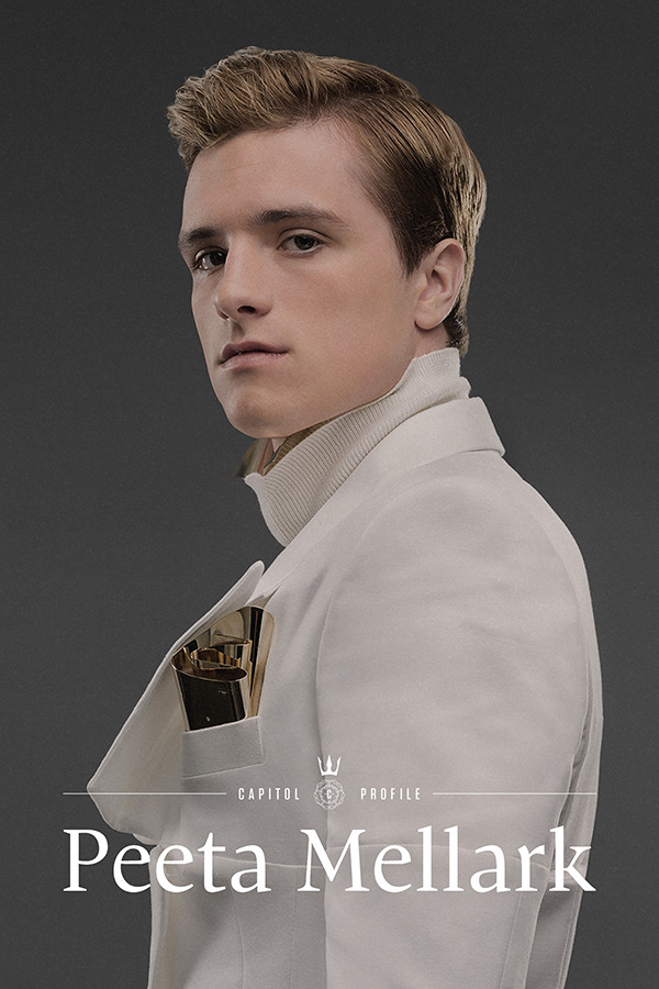 peeta mellark poster catching fire