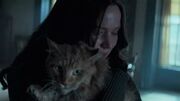 Katniss hugging Buttercup to her in Mockingjay - Part 2.