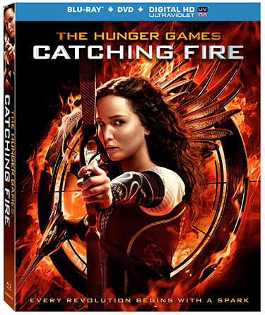catching fire movie poster beach