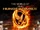 The World of the Hunger Games