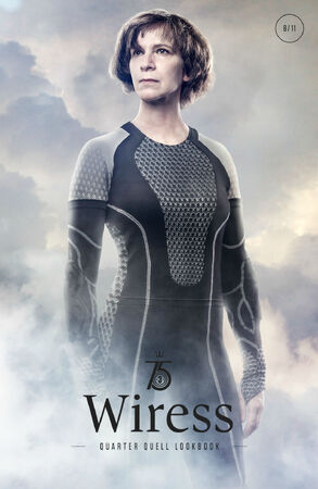 catching fire movie poster beach