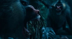 Monos.png