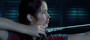 Katniss training ctr bow