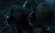 Monkey mutts in Catching Fire