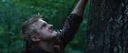 Cato climbs a tree after Katniss