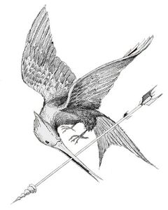 Mockingjay sketch by TOB