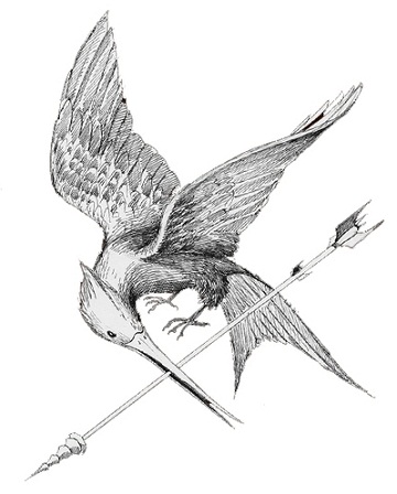 mockingjay bird pin drawing