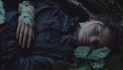 Katniss, having been treated with tracker jacker leaves by Rue.