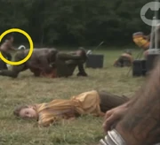 D7MaleNewWeaponBloodbath