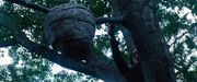Thehungergames-7071.jpg