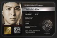 Tribute Identification Card