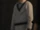 BoSaSFacet.png